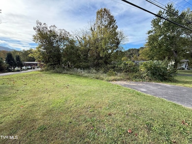 TBD Tennessee 91, Elizabethton, TN 37643 - photo 6