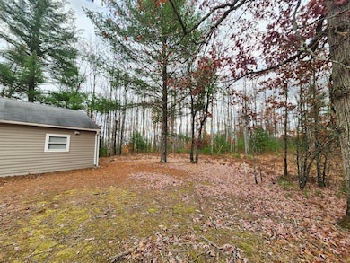 10544 N Lazy Ln, Bitely, MI 49309 - photo 3