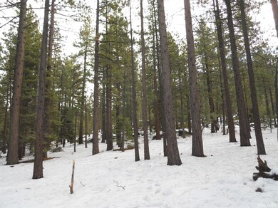 1201 Wildwood Ave unit M, South Lake Tahoe, CA 96150 - photo 3