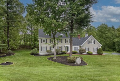 Established Landscaping
