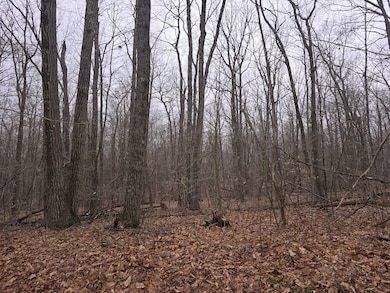 599 Ostrander Rd, Windsor, NY 13865 - photo 6