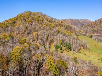 999 Lickskillet Rd, Cane River, NC 28714 - photo 5