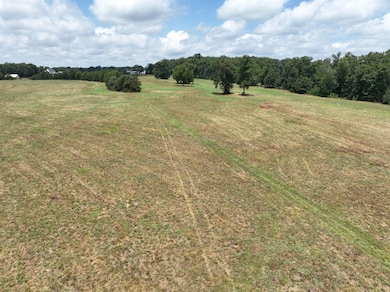 5072 Mobley Store Rd, McConnells, SC 29726 - photo 5