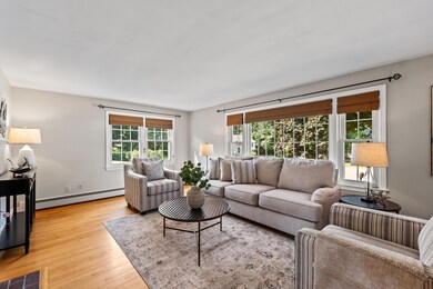 Light Filled Living Room