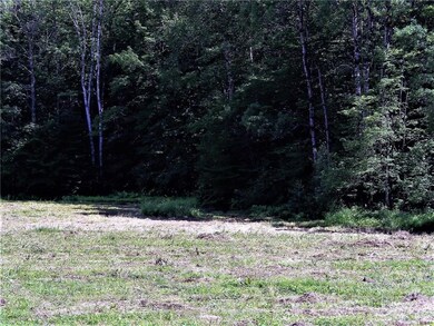 Spring located toward the back of lot 3