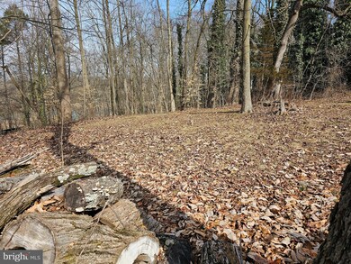 122,125 Cold Foote Cooh Ln unit GLEN 2, Earleville, MD 21919 - photo 6