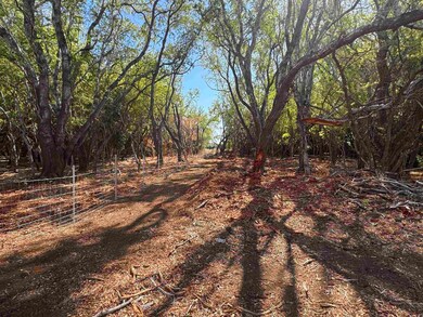 952 Luawai St, Olowalu, HI 96761 - photo 7