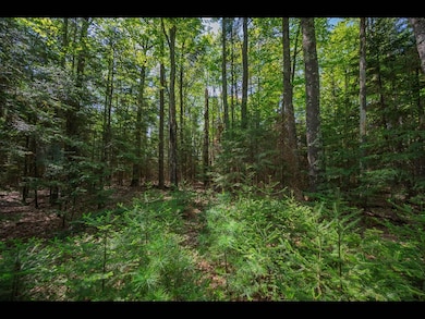 Lot 3 Memory Ln, Eagle River, WI 54521 - photo 2