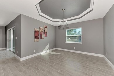 SOLAR PANELS in back