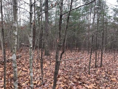 Lot 527 Hobbs 2