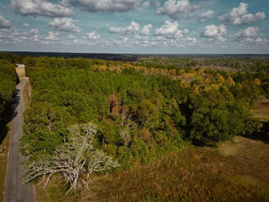 7.32 Ac Oscar Lee Rd, Poplarville, MS 39470 - photo 5