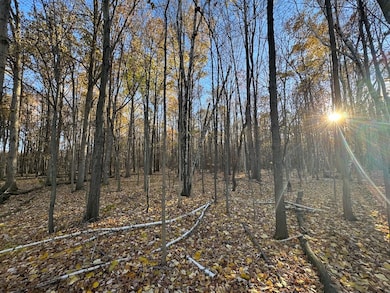 W Birch Run Rd, Burt, MI 48417 - photo 6