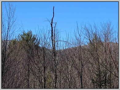 Lot #1 Texas Hill Rd, Plymouth, NH 03264 - photo 6