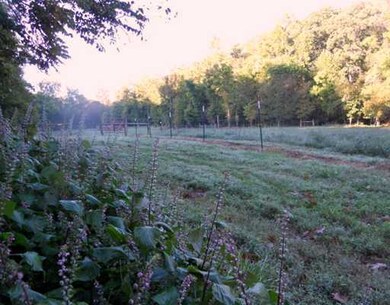 11085 Peach Orchard Rd, Bentonville, AR 72712 - photo 7