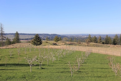 17323 N Lower Greenbluff Rd, Colbert, WA 99005 - photo 5