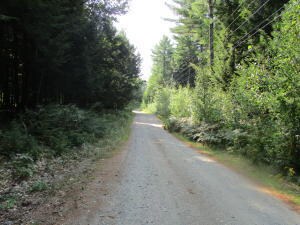 Perfect place to camp -Private