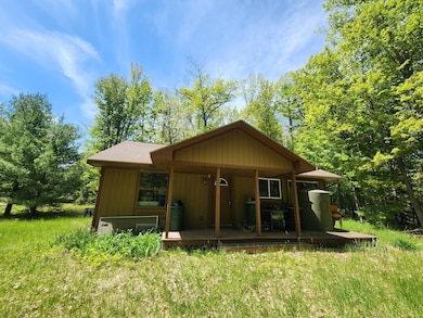 Parcel S McCollum Lk Rd, Curran, MI 48728 - photo 2