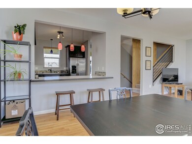 345 Osiander St, Fort Collins, CO 80524 - photo 7