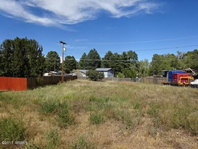 1020 E Stratton, Show Low, AZ 85901 - photo 5