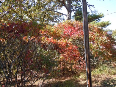 100 Shelton Dr, Eureka Springs, AR 72632 - photo 6