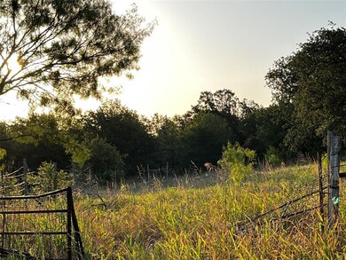 650 Shady Hill Ln, Springtown, TX 76082 - photo 5