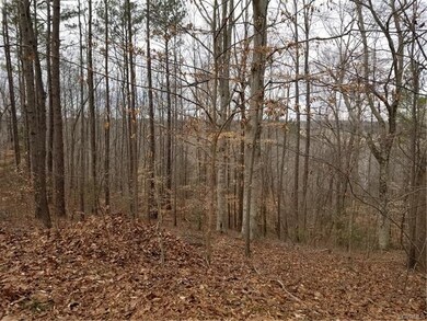 14223 Hickory Oaks Ln, Ashland, VA 23005 - photo 2