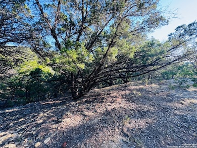 169 Center Point Rd, Lake Medina Shores, TX 78003 - photo 7