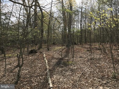 0 Roys Ln unit 1000194671, Glengary, WV 25421 - photo 6