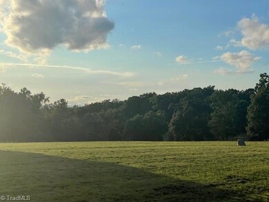 00 Amos Ridge Rd unit Amos Ridge Road, Sandy Ridge, NC 27046 - photo 6