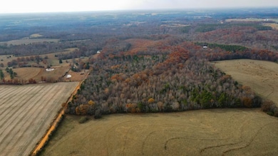 County Road 501, Lexington, AL 35648 - photo 7