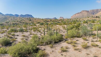 26887 N Shirley Rd unit 53, Queen Creek, AZ 85142 - photo 6