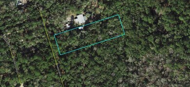 65 Simmie Dr, Crawfordville, FL 32327 - photo 6