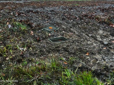 0 Cherohala Skyway unit 1323523, Tellico Plains, TN 37385 - photo 6