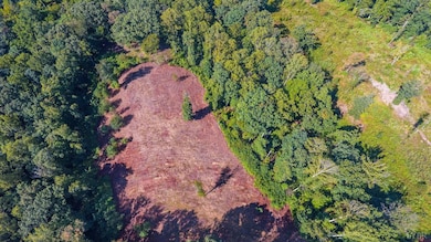 206 Waughs Landing Dr, Lynchburg, VA 24503 - photo 2