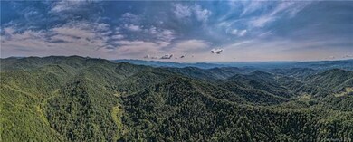 99999 Indian Creek Rd, Price Creek, NC 28714 - photo 6