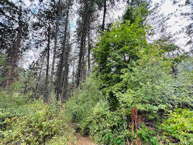 3611 W Rosamond Ave, Spokane, WA 99224 - photo 5