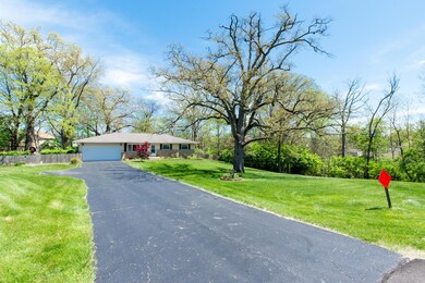 Driveway View