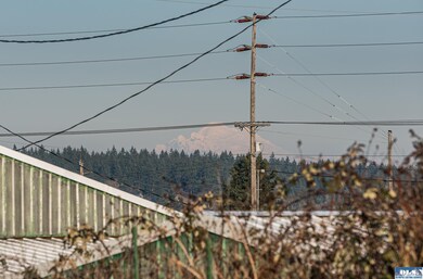 421 Salal Way, Sequim, WA 98382 - photo 3