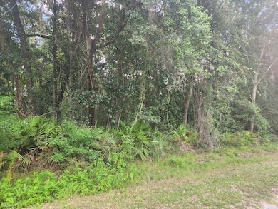 0 NW 86th St, Chiefland, FL 32626 - photo 5