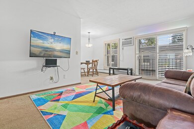 807 11th Ave S unit 6, Hopkins, MN 55343 - photo 5