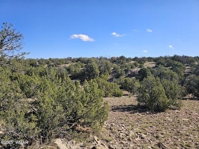 0 unit 258851, Heber, AZ 85928 - photo 6