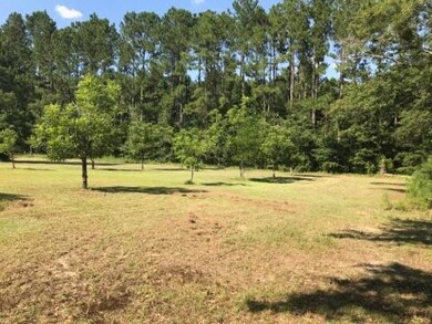 5515 Dixie Rd, Dixie, GA 31629 - photo 6