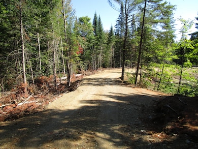 lot 8A N North Howland Rd, Maxfield, ME 04448 - photo 6