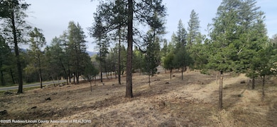 301 Excalibur Rd, Ruidoso, NM 88345 - photo 7