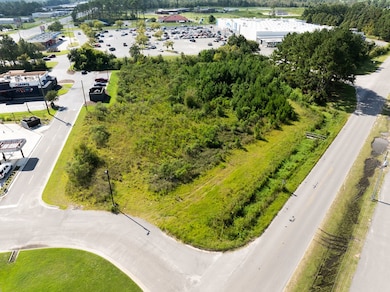 00000 Golden Isle W, Baxley, GA 31513 - photo 3