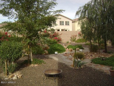 Oasis Back yard.