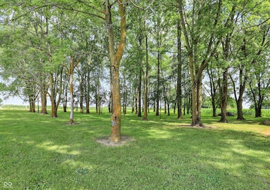 10335 E 750 N, Sheridan, IN 46069 - photo 5