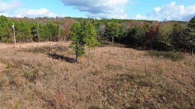 9943 Rough Branch Rd, Mulberry, AR 72947 - photo 3