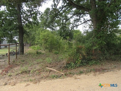 507 County Road 405, Buckholts, TX 76518 - photo 3