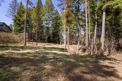 14357 Forest Dr, Bigfork, MT 59911 - photo 7